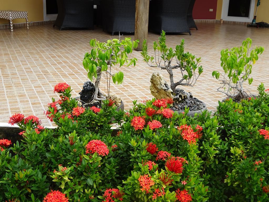 Bohol Sunside Resort Panglao Exterior photo